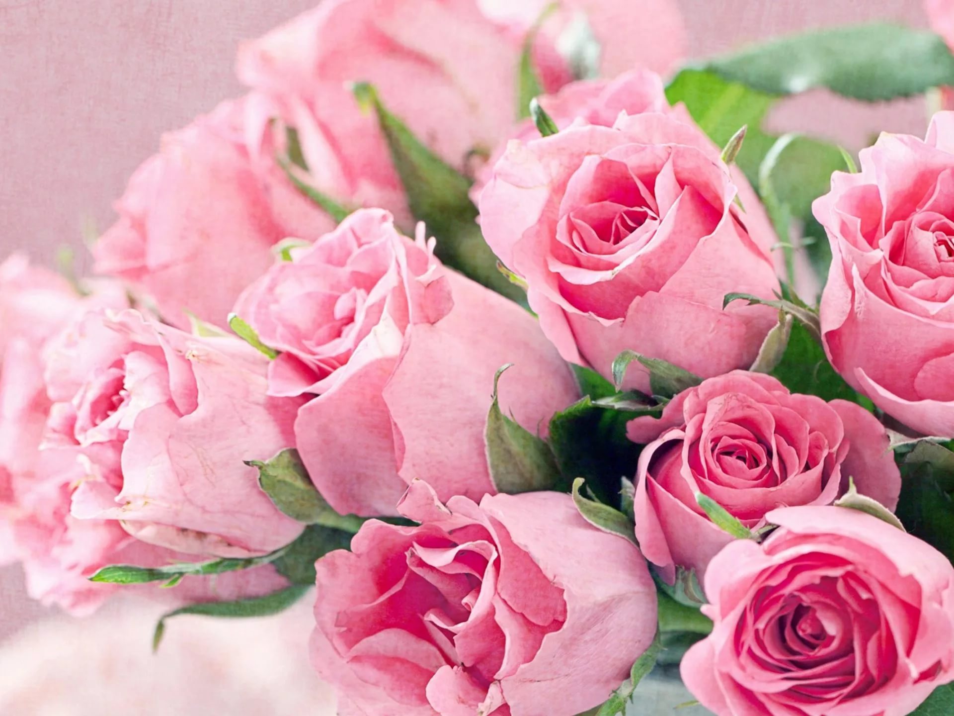 Розовые розы открытка с днем рождения