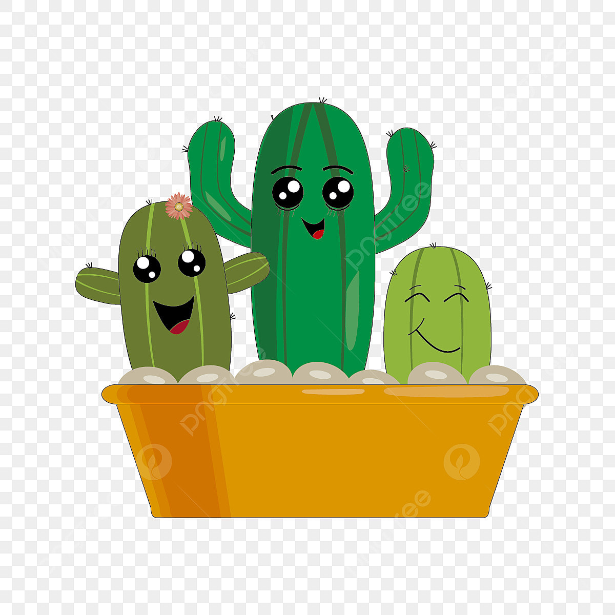 Семья кактусов
