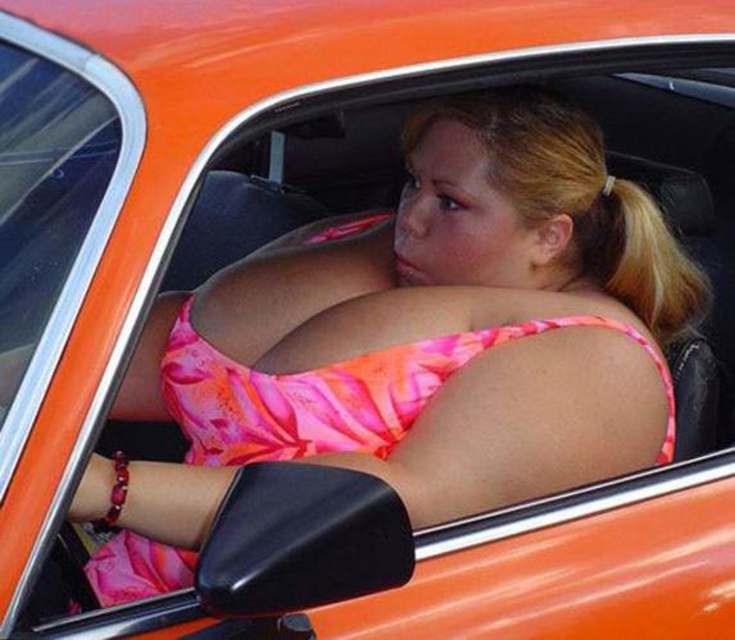Толстые женщины за рулем