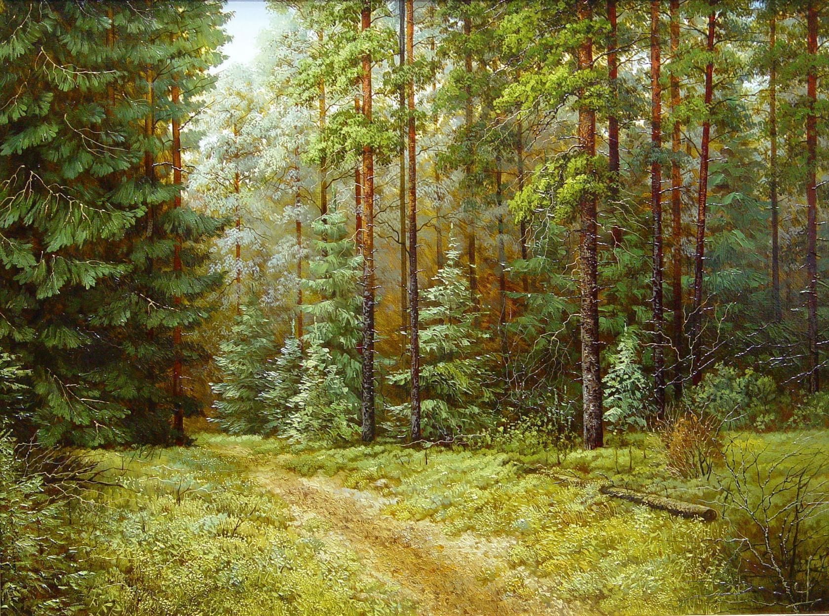 Еловый лес на картинах художников