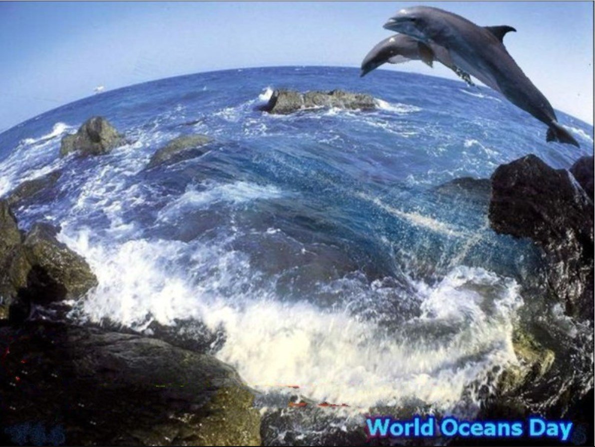 8 Всемирный день океанов