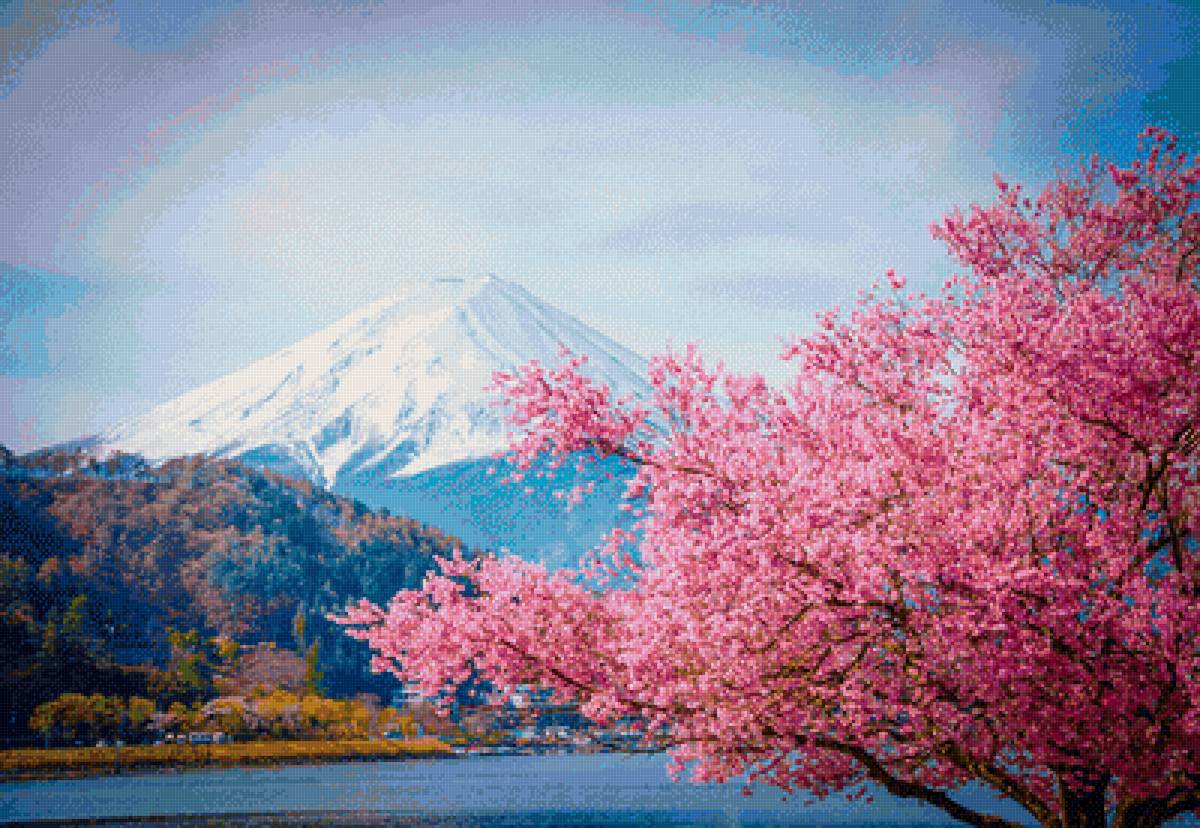 Цветение Сакуры в Японии Фудзияма