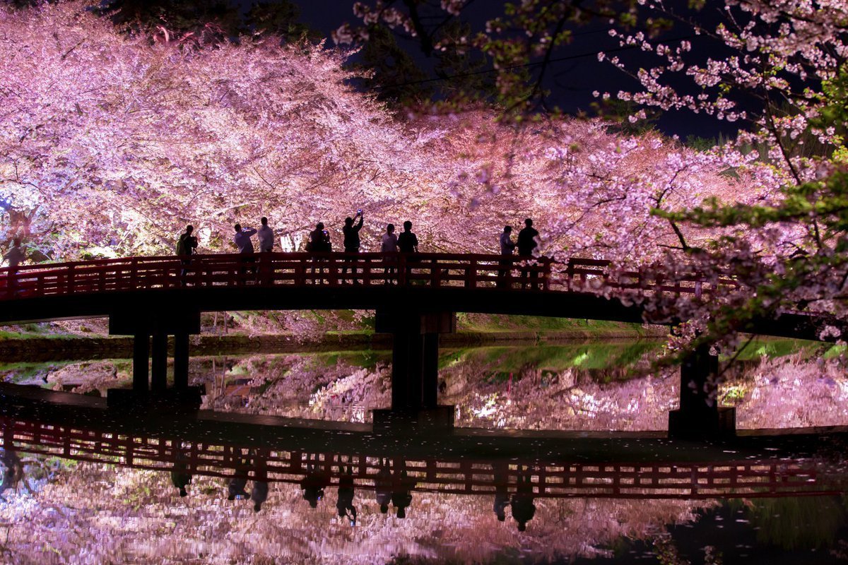 Япония парк Токио мост