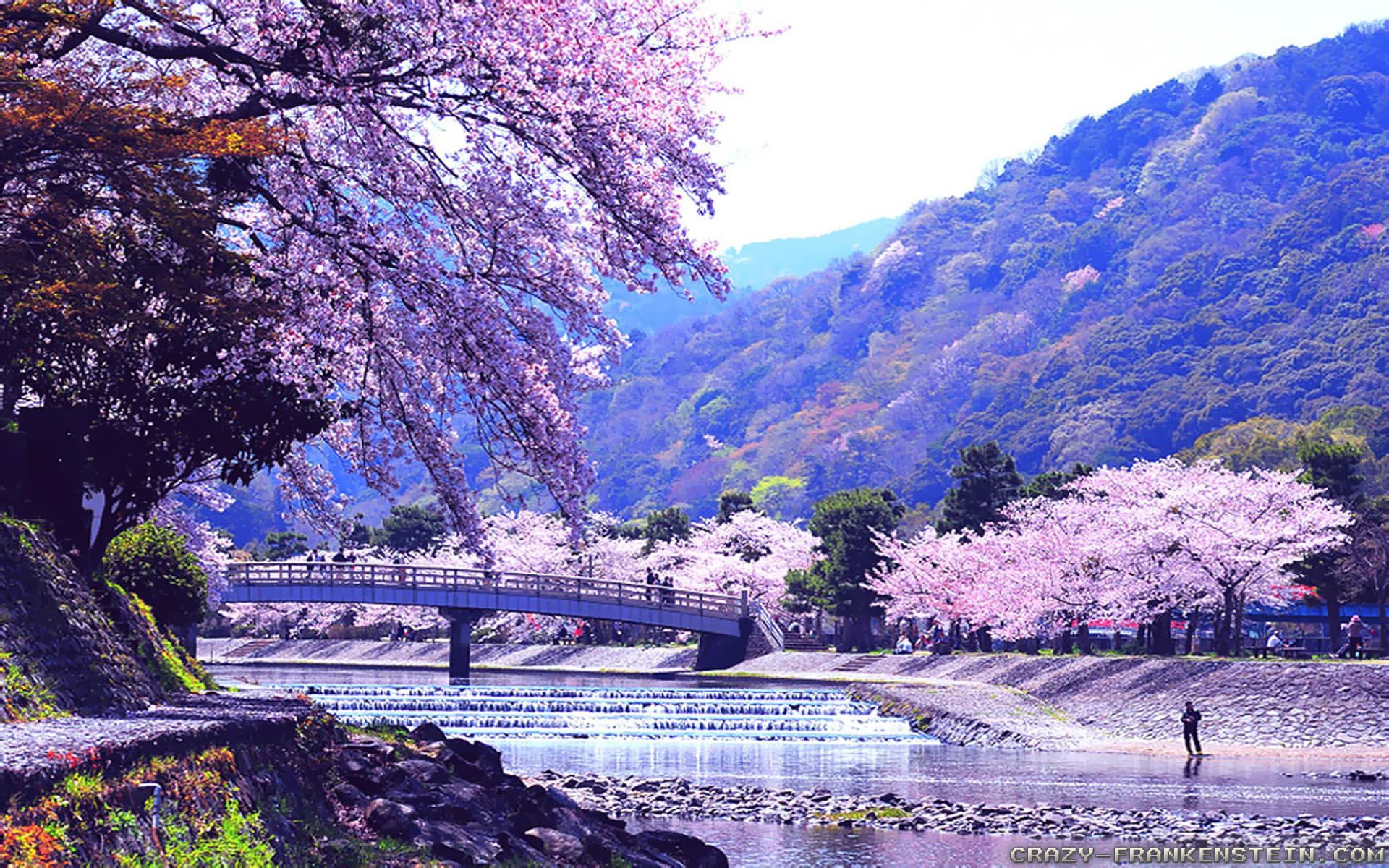 Весенний пейзаж Япония