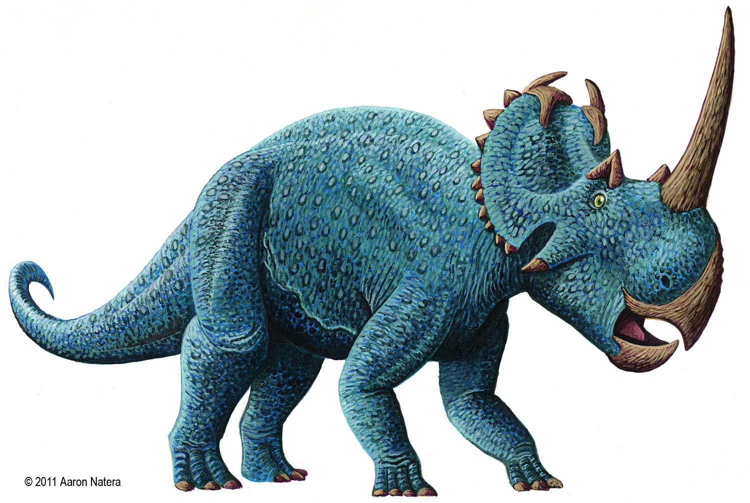 Динозавр с рогом на носу