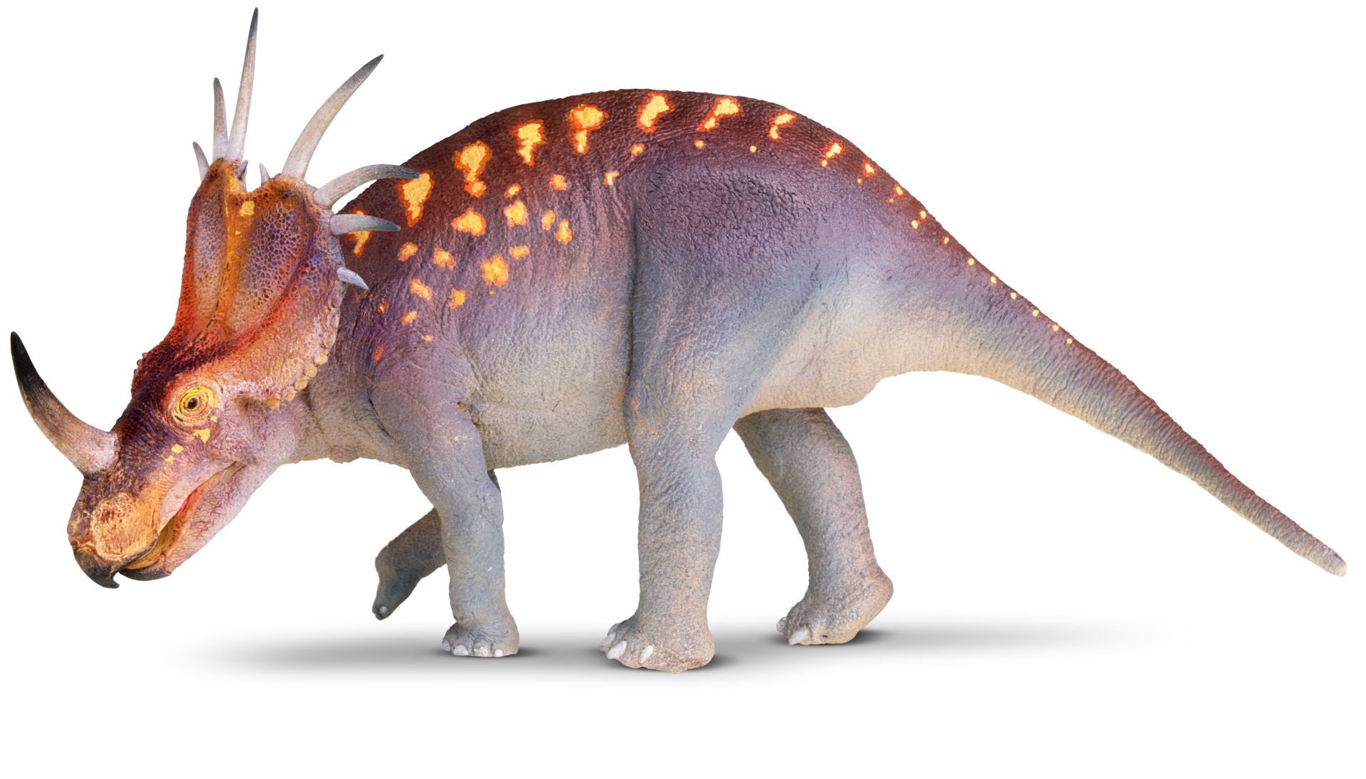 Динозавр с рогом на затылке