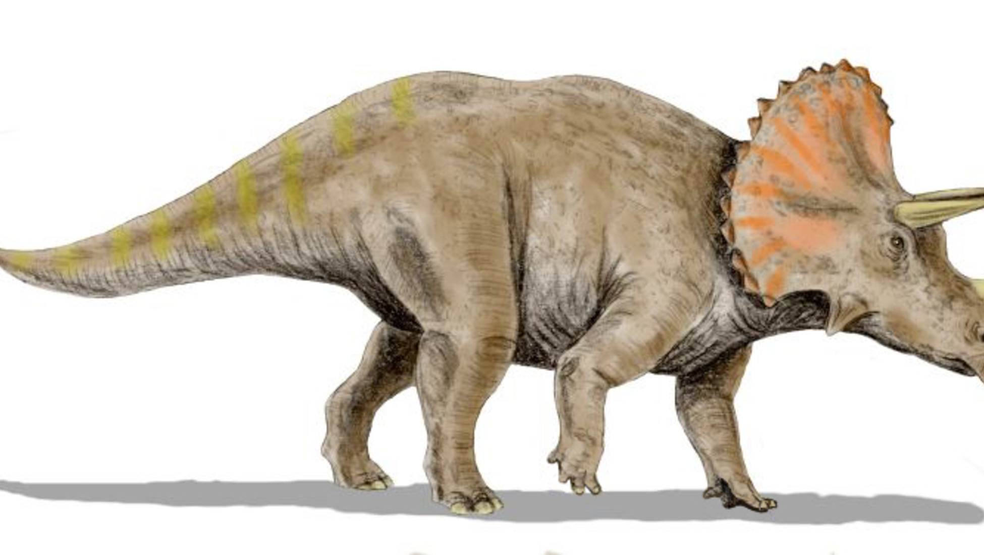 Динозавр с рогами на голове и на носу