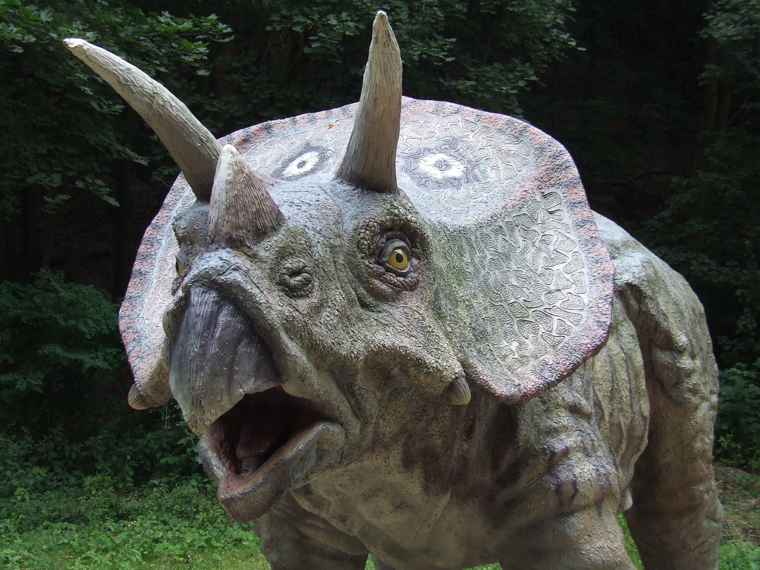 Травоядный динозавр с рогами