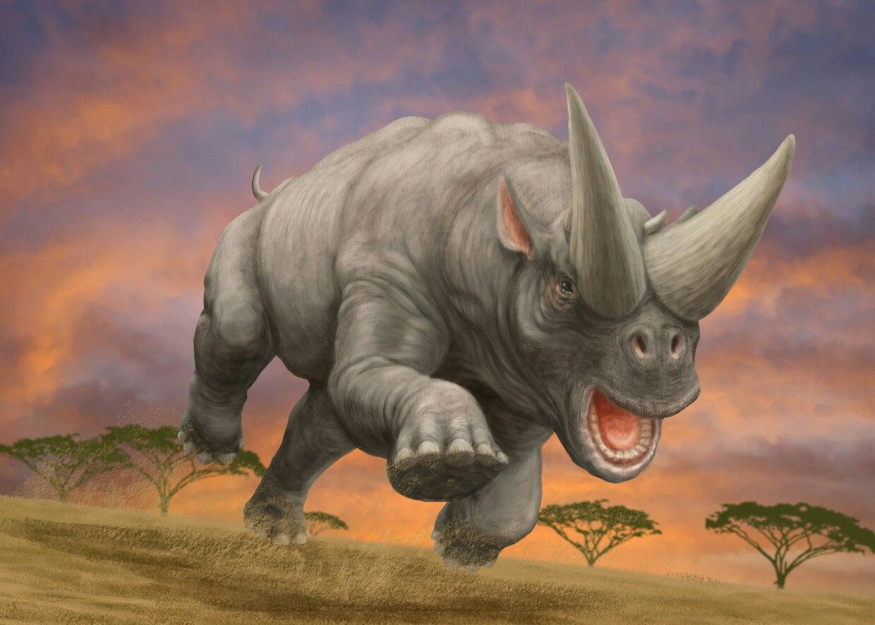 Древние носороги
