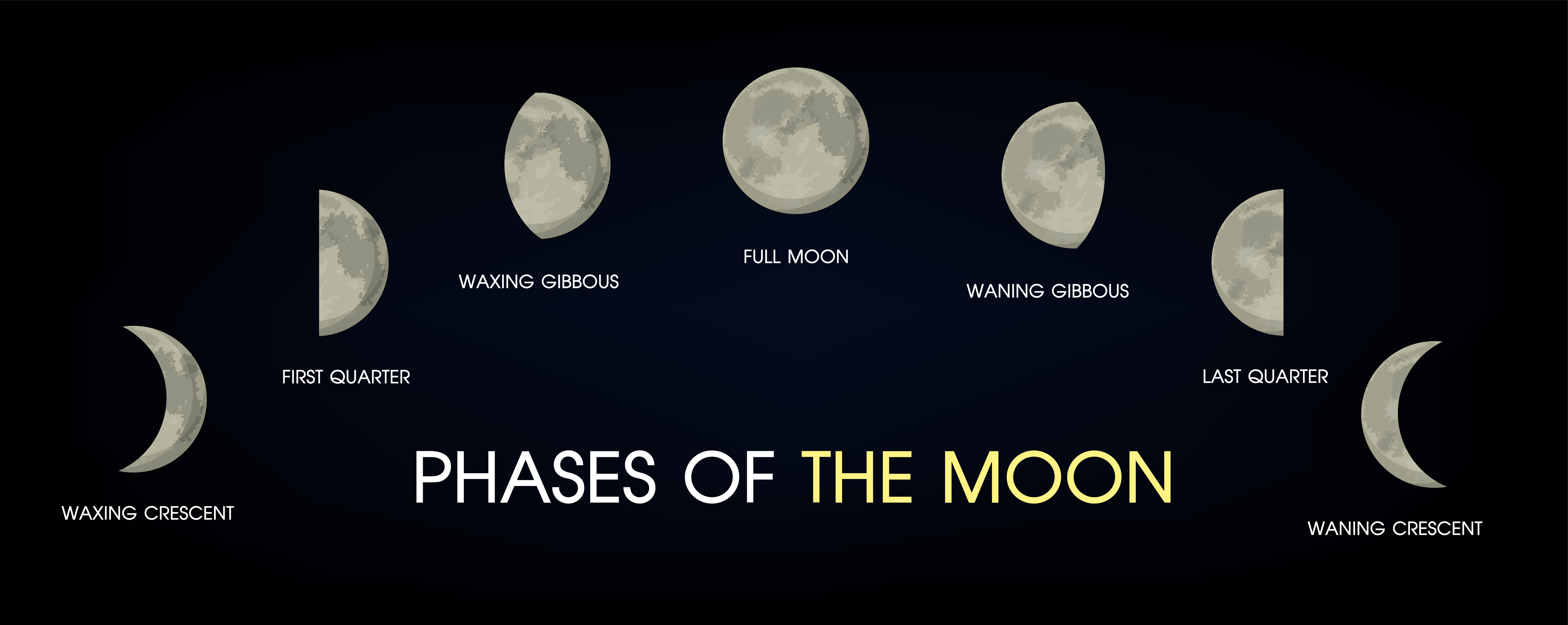 Фаза Луны на английском в картинках
