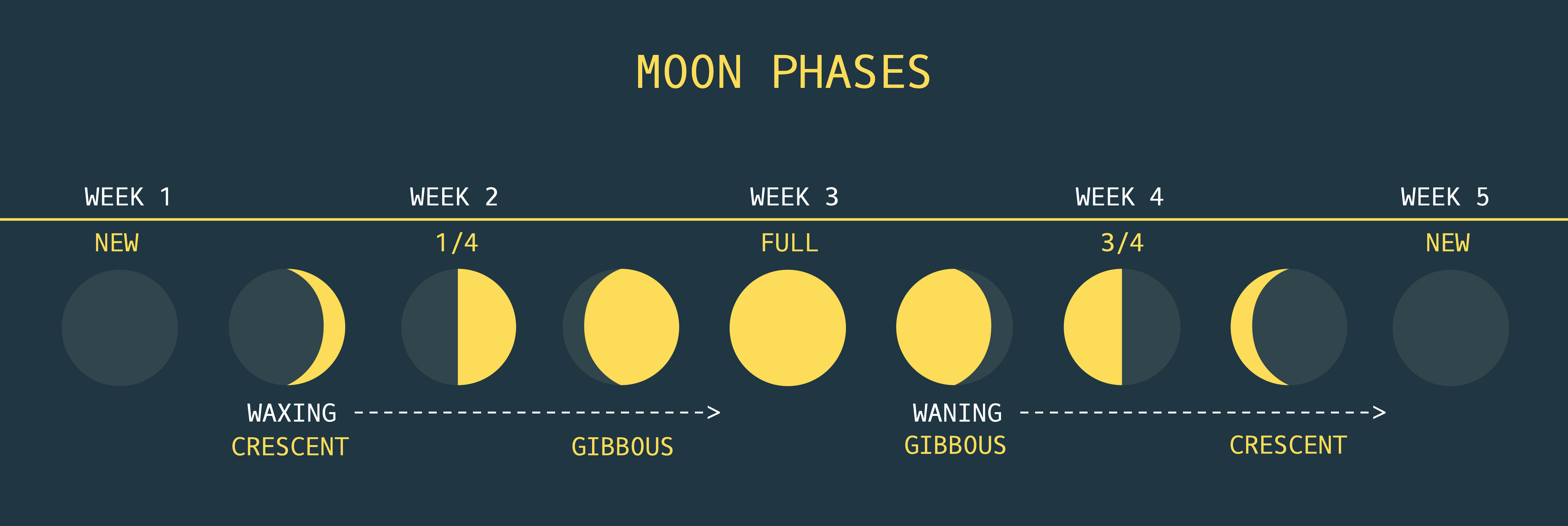 Похудение и фазы Луны