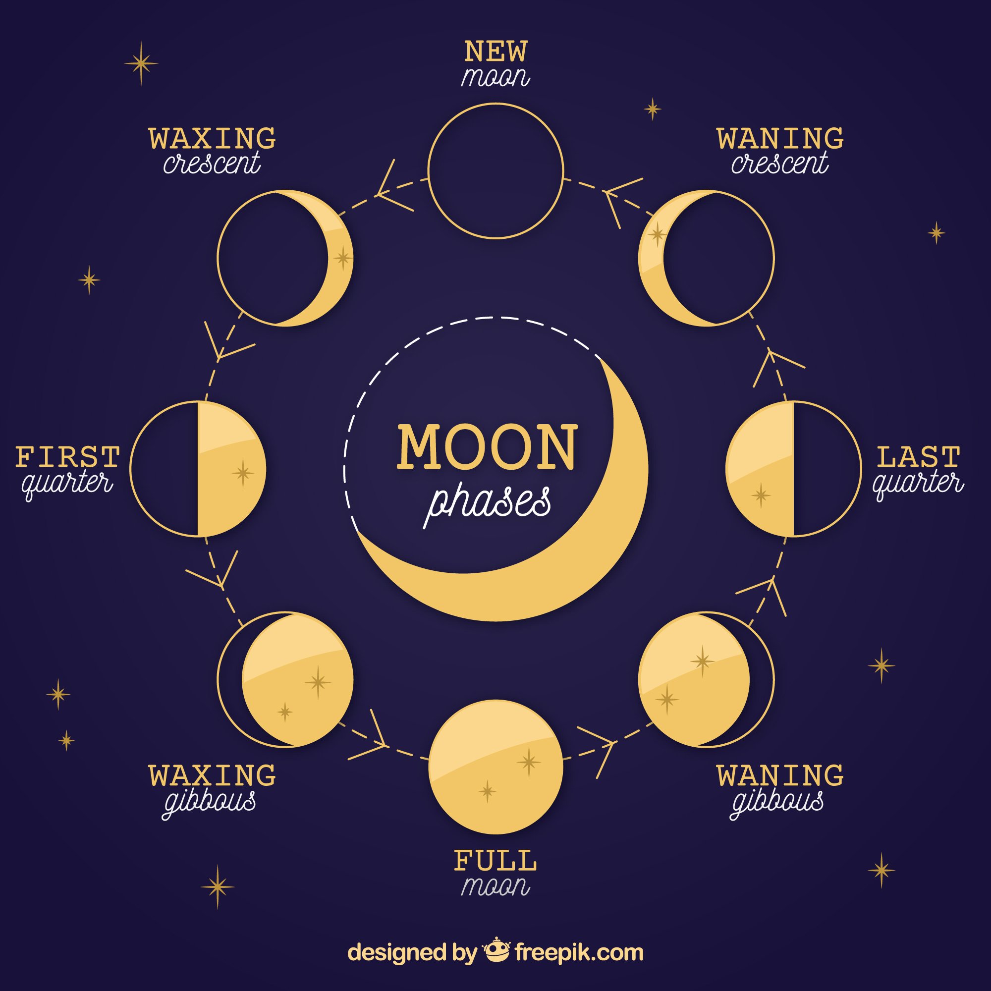 Лунный цикл картинки