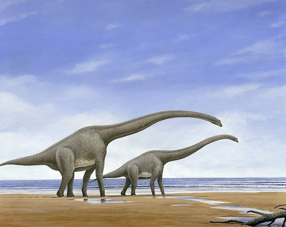 Динозавр 2000 Брахиозавр