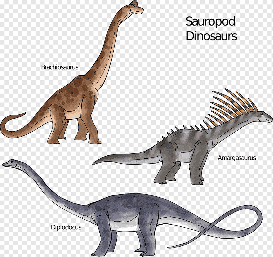 Диплодок Брахиозавр Спинозавр