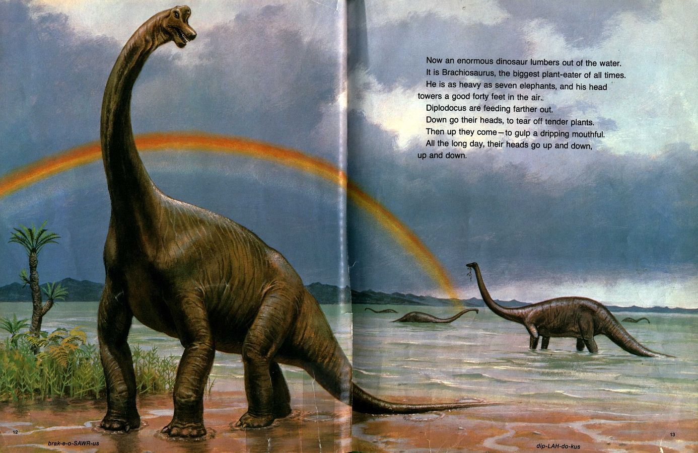 Диплодок Брахиозавр Бронтозавр Амаргазавр