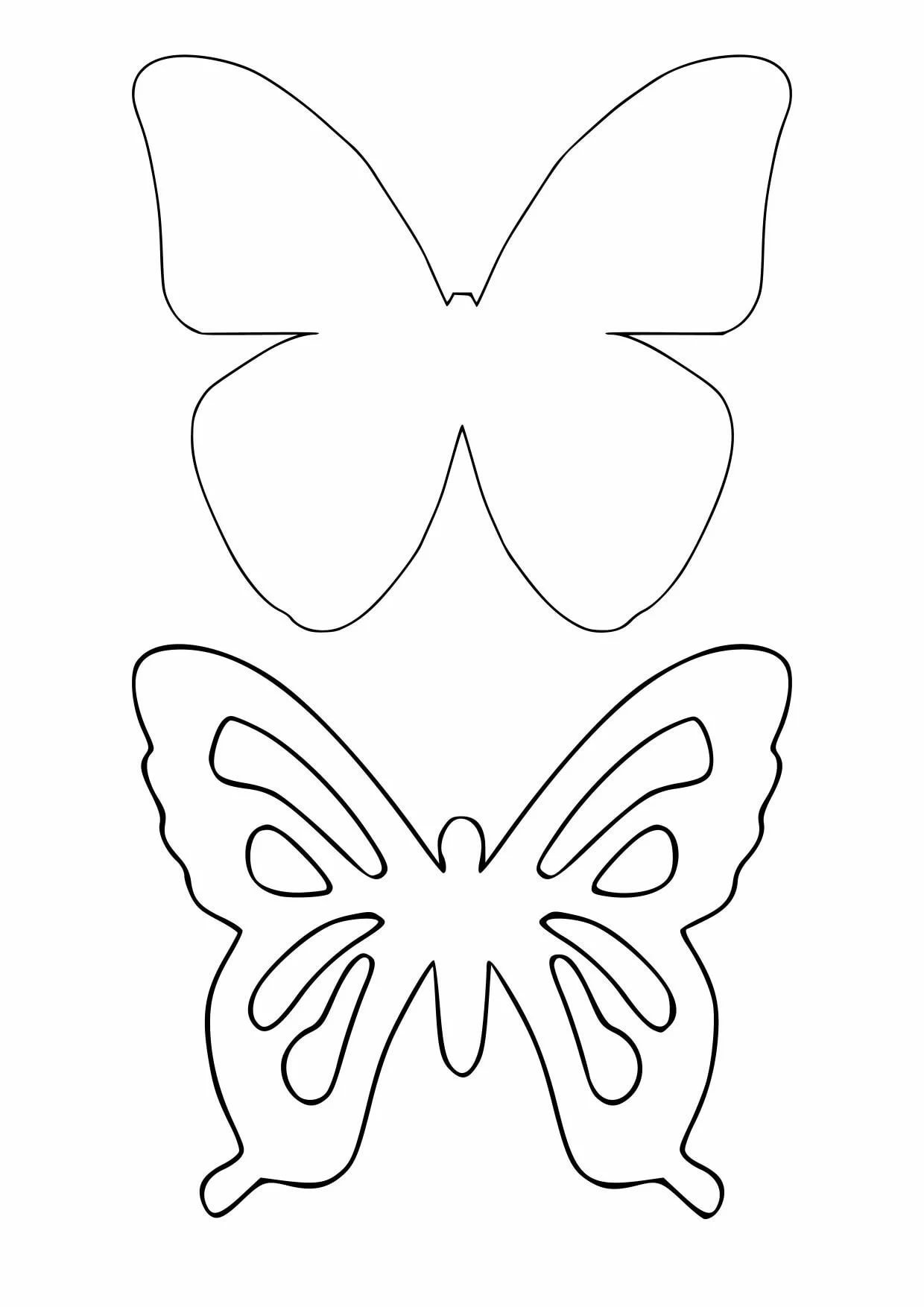 Контуры бабочек для декора