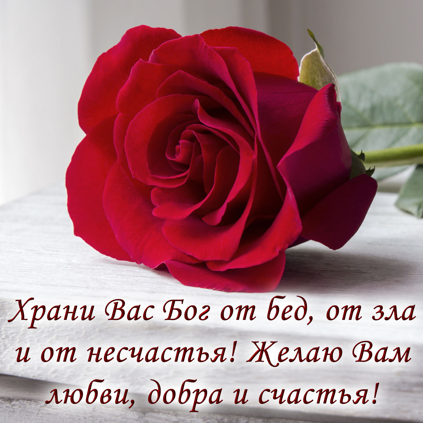 Розы открытки красивые с пожеланиями