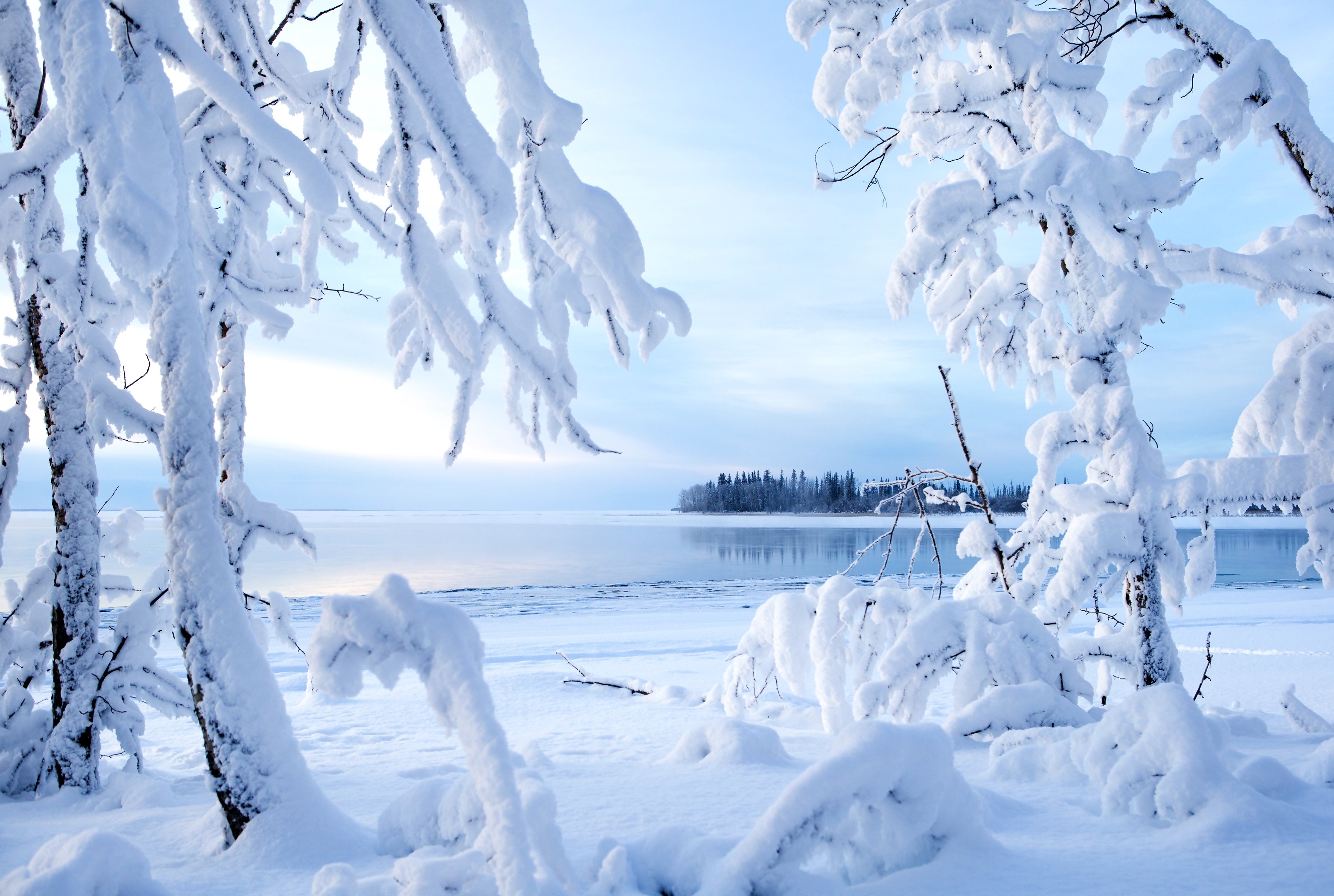 Фотообои зимний пейзаж