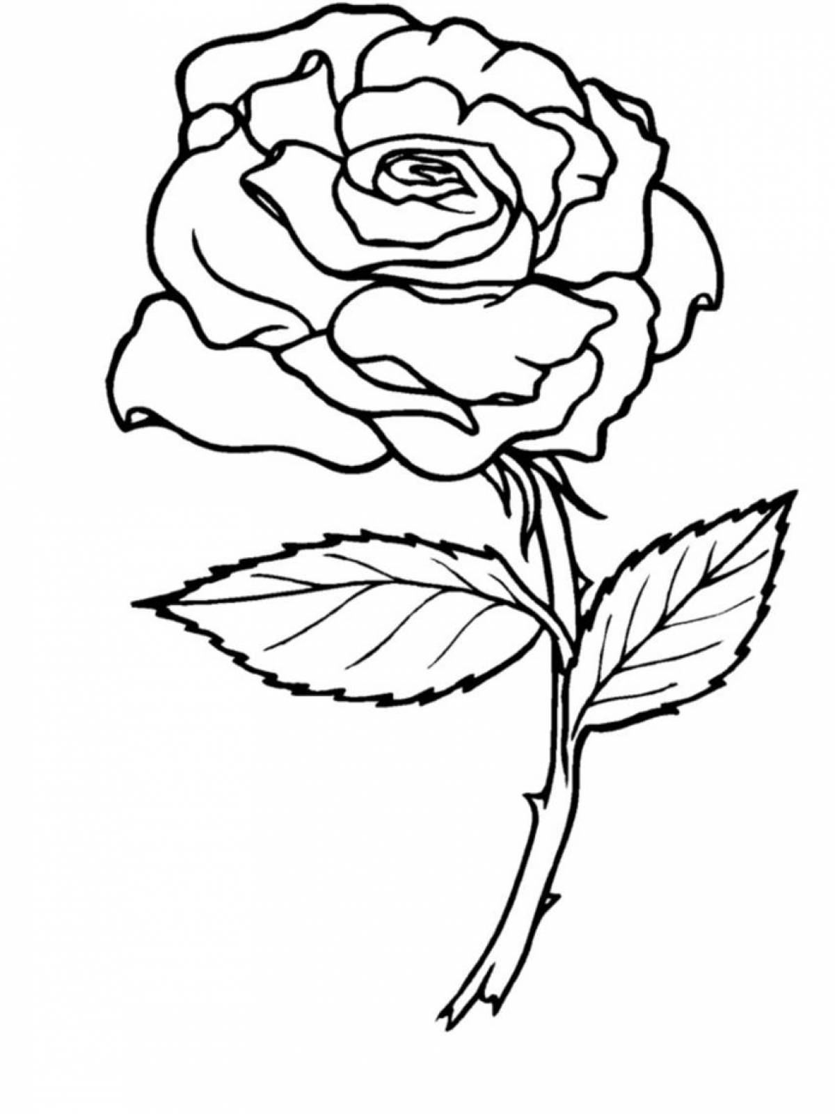 Роза раскраска для детей