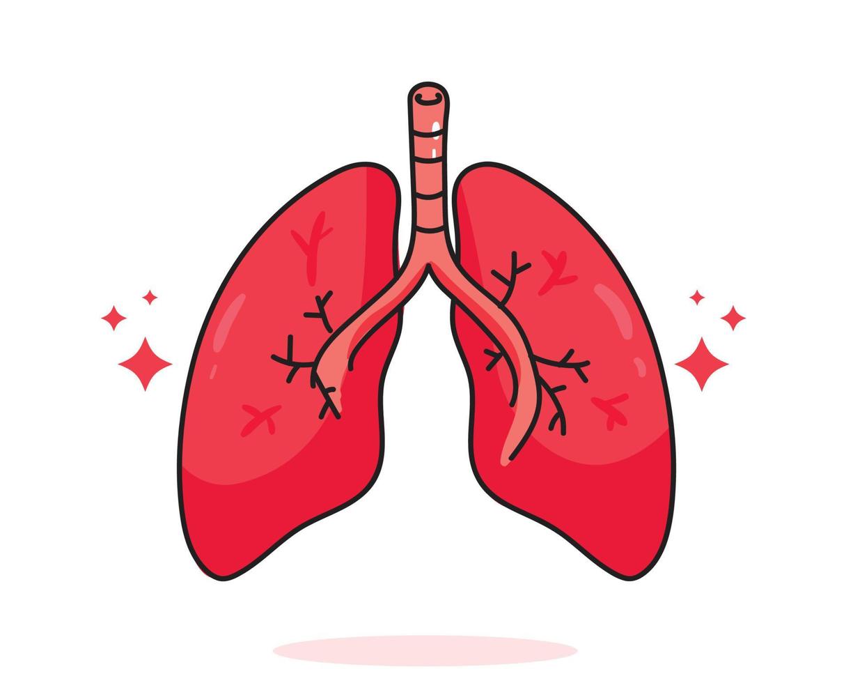 Lungs cartoon
