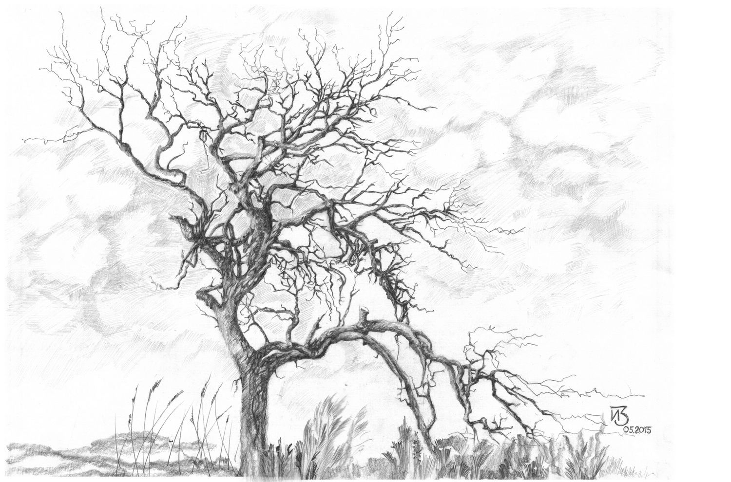 Рисунки карандашом природа деревья