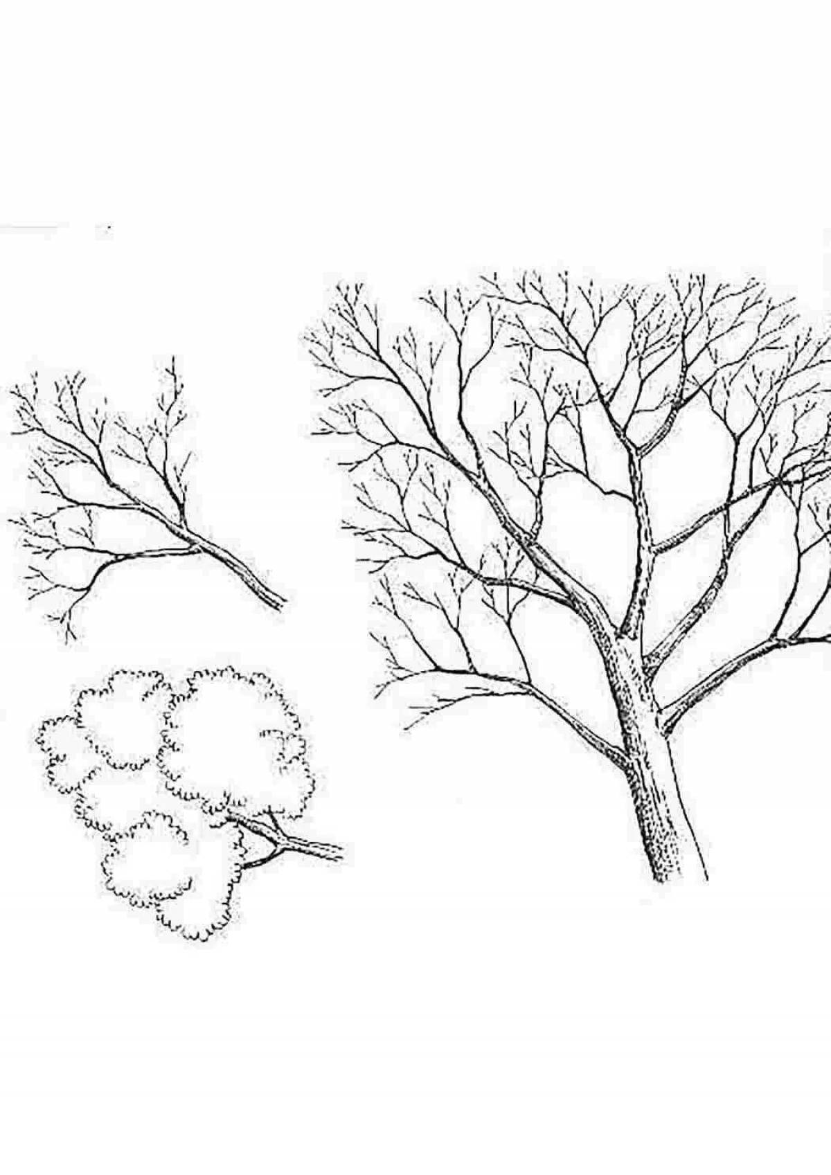 Поэтапное рисование деревьев и кустарников