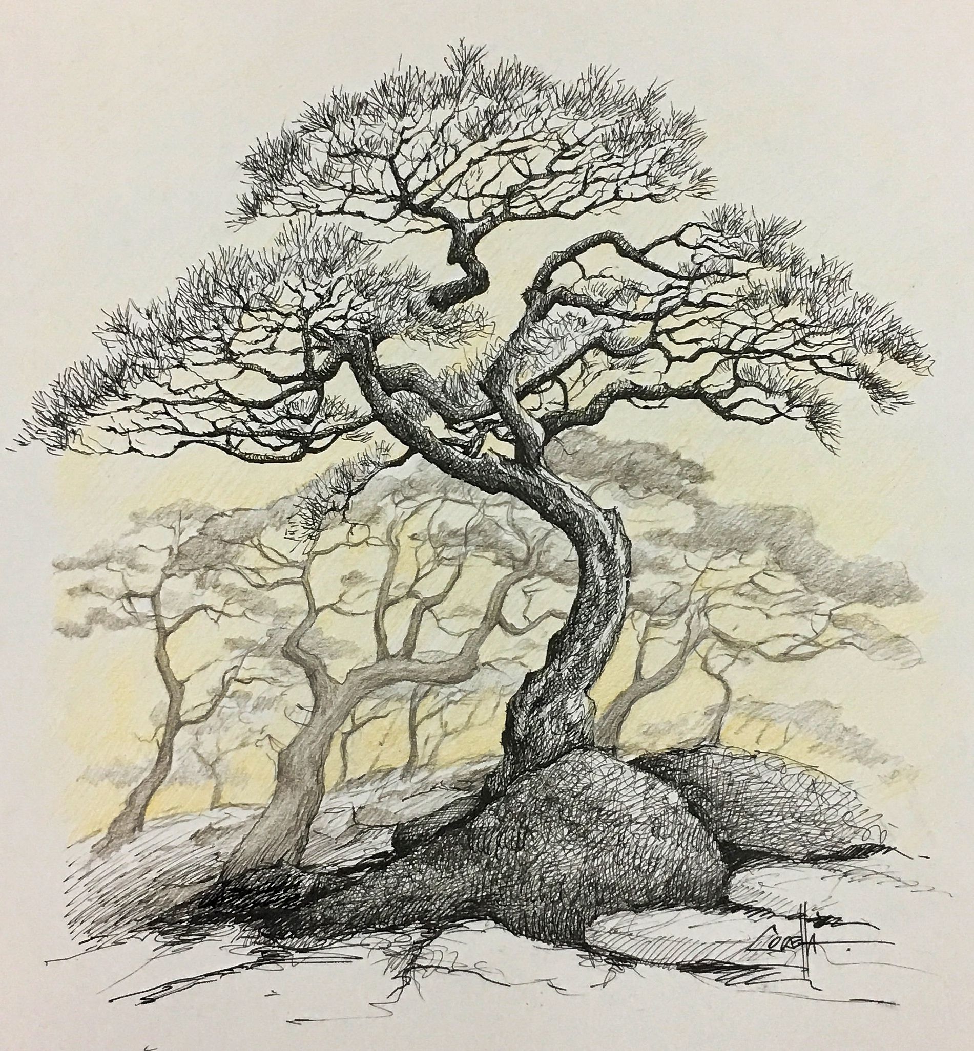 Графические картины деревьев