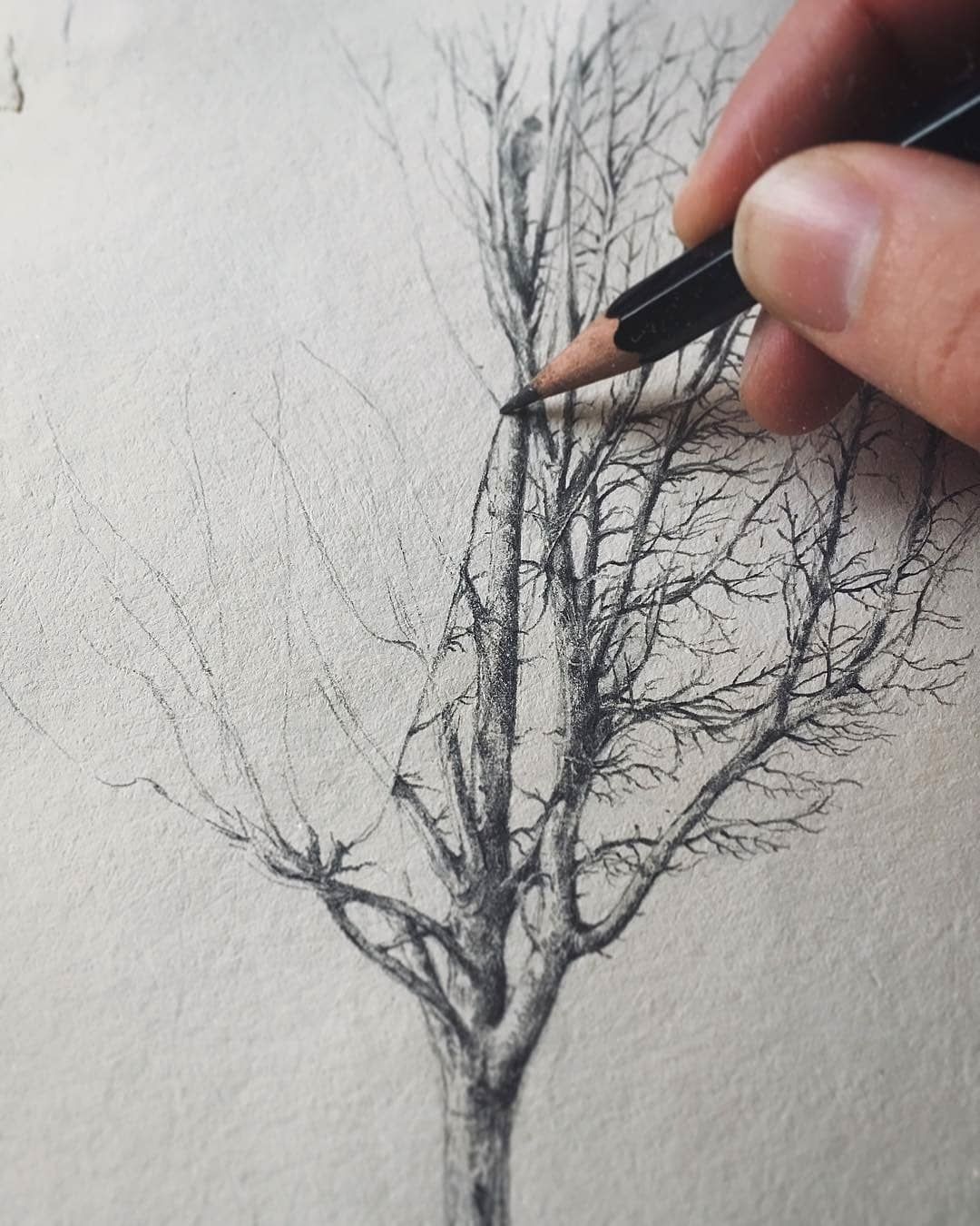 Скетчинг технология рисования деревьев