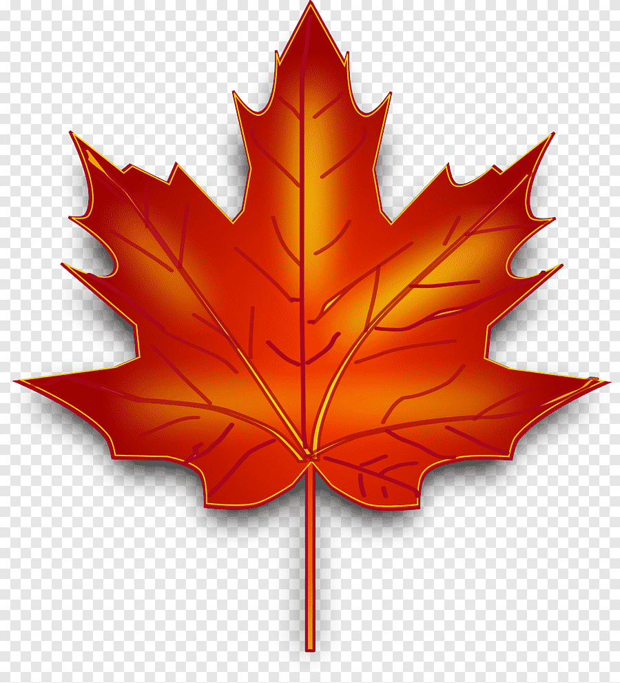 Кленовый листок Канада