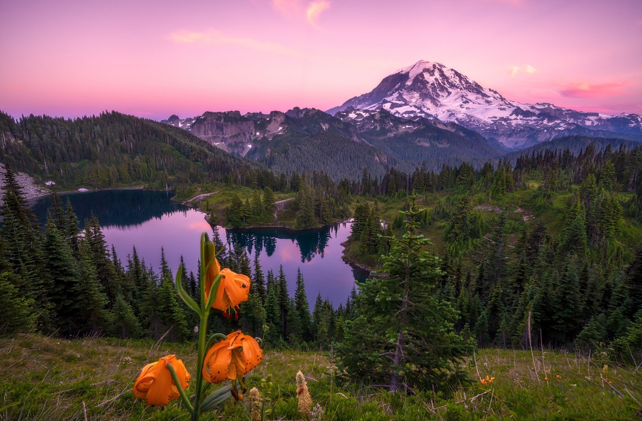 Природа горы озеро цветы