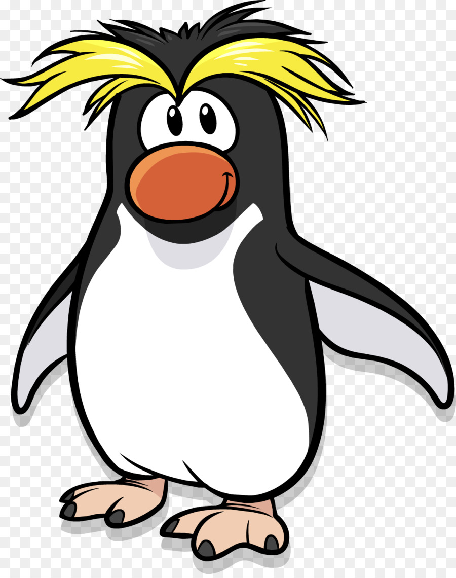 Хохлатый Пингвин на белом фоне