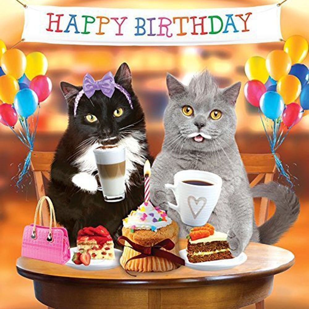 Кот поздравляет с днем рождения