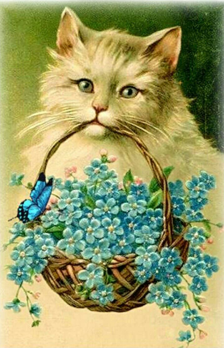 Котик с цветами открытка