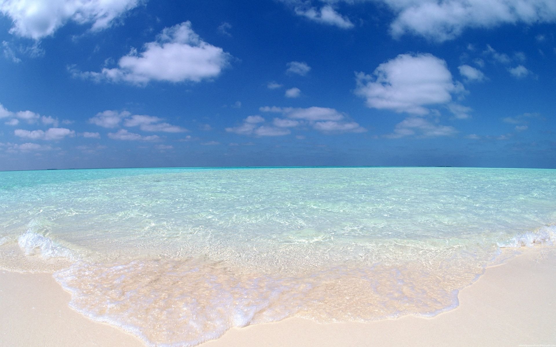 Голубое море белый песок