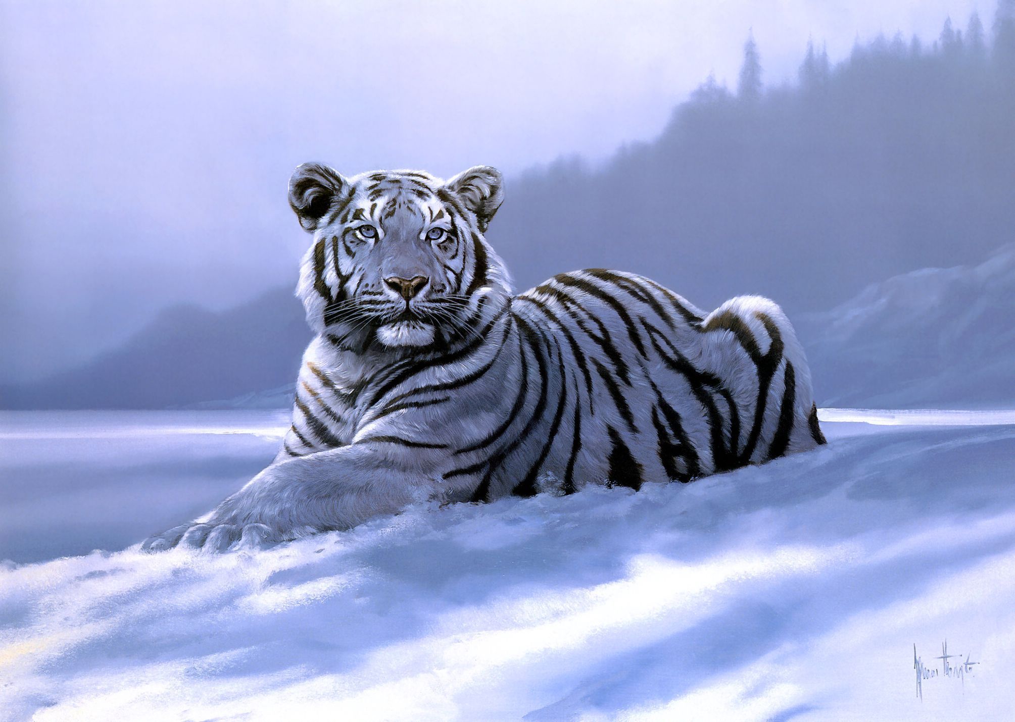 Сибирский тигр 3