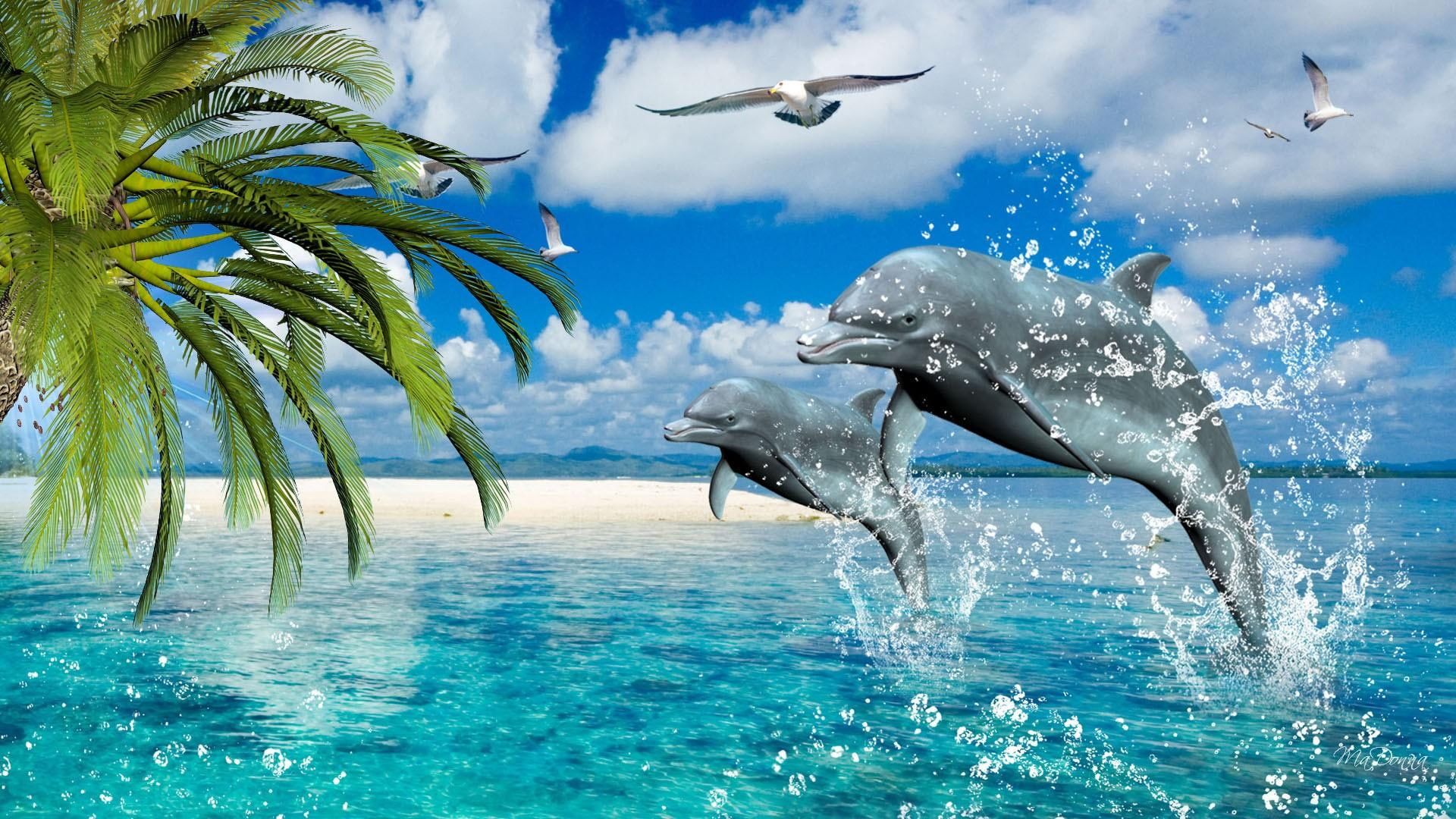 Море пальмы дельфины