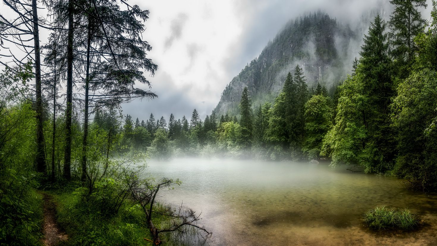 Горы туман лес озеро