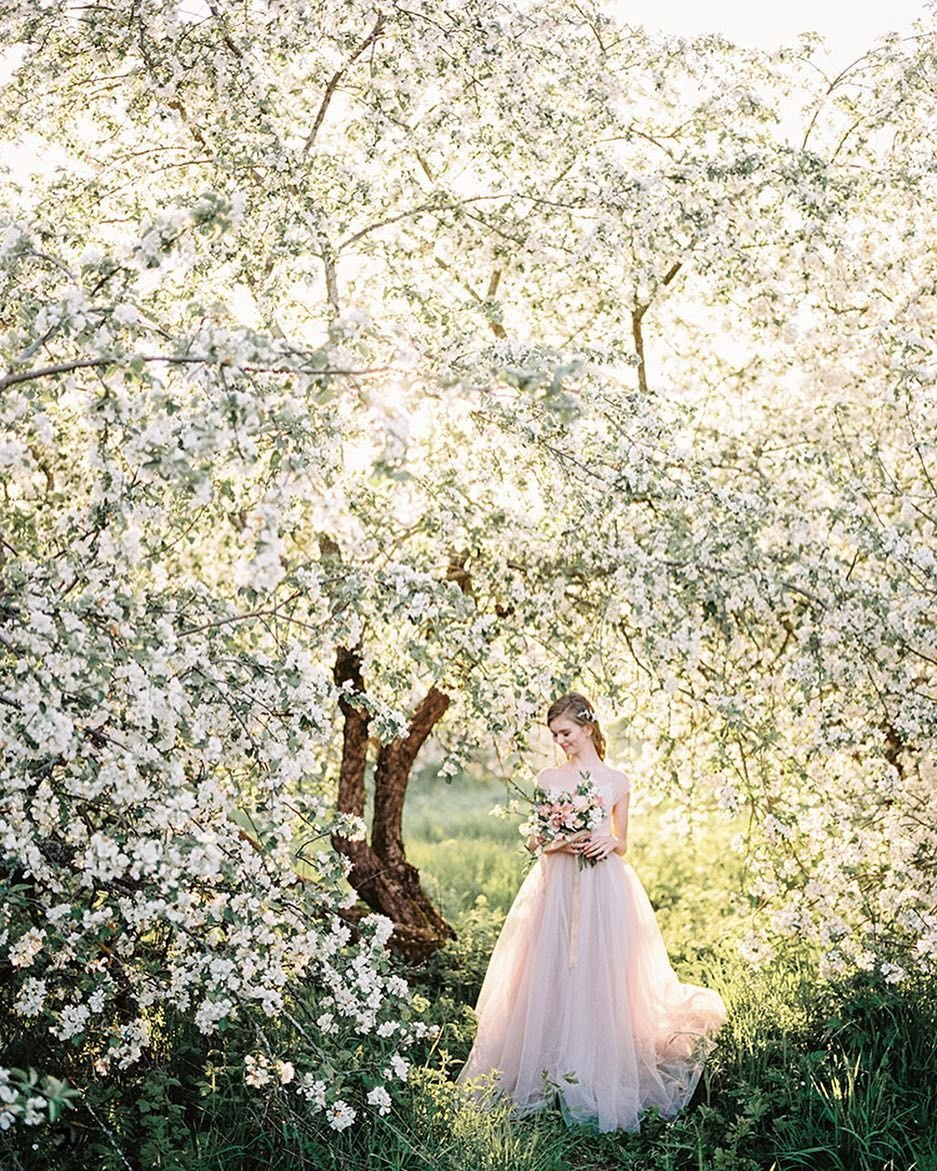 Невеста в цветущих садах