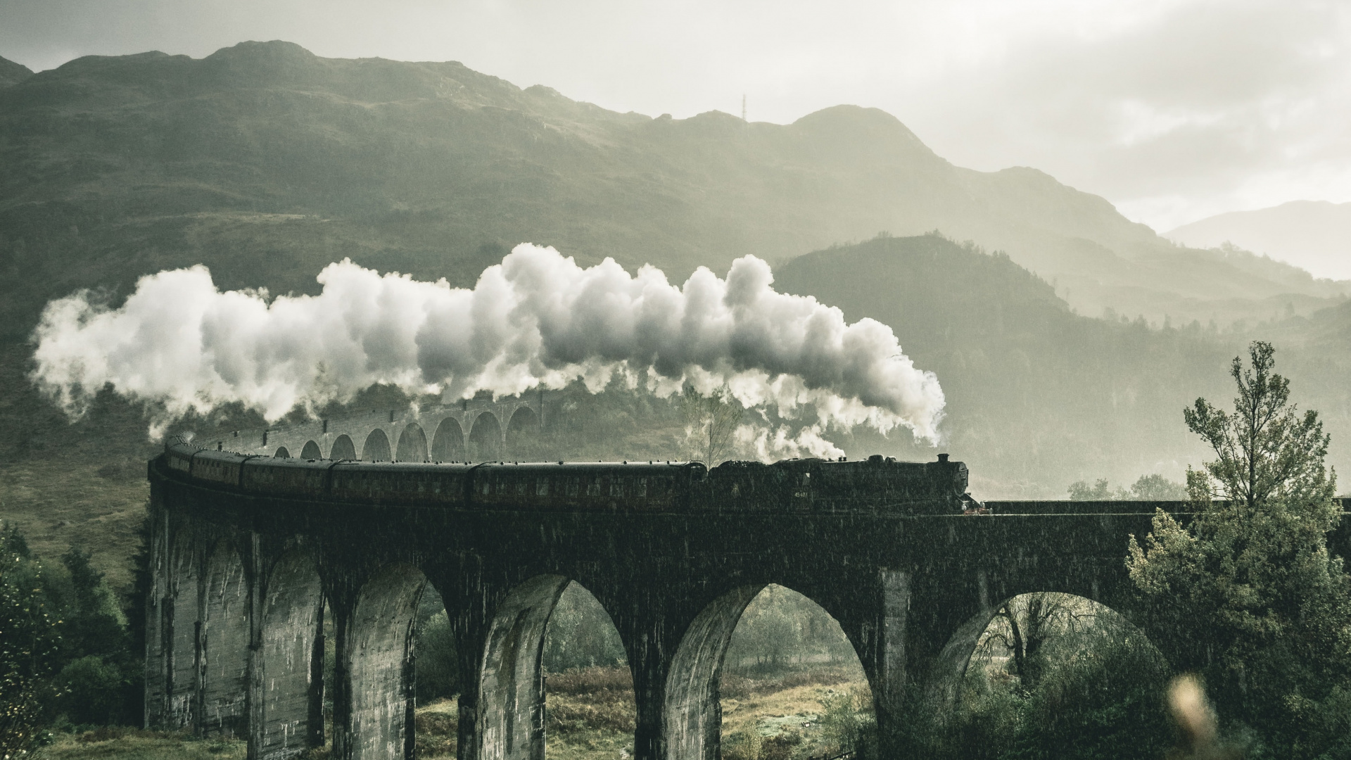 Hogwarts Express мост