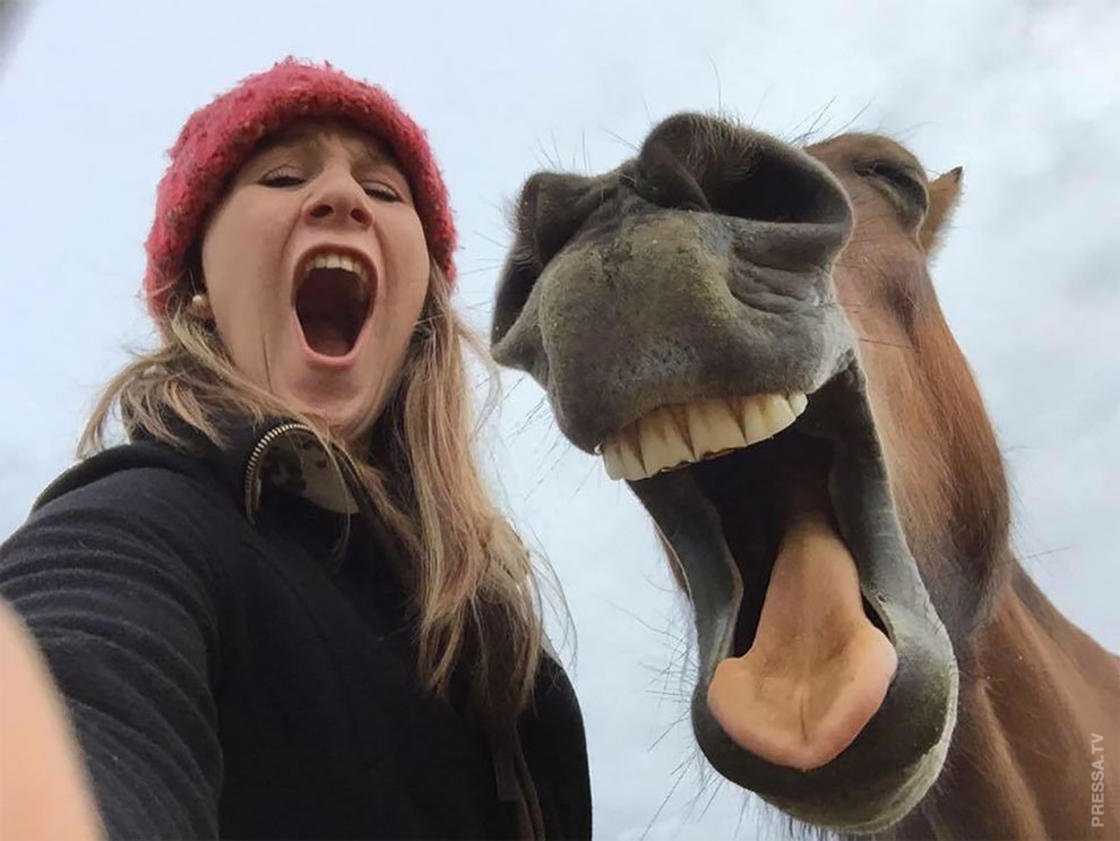 Лошадь с девушкой смеется