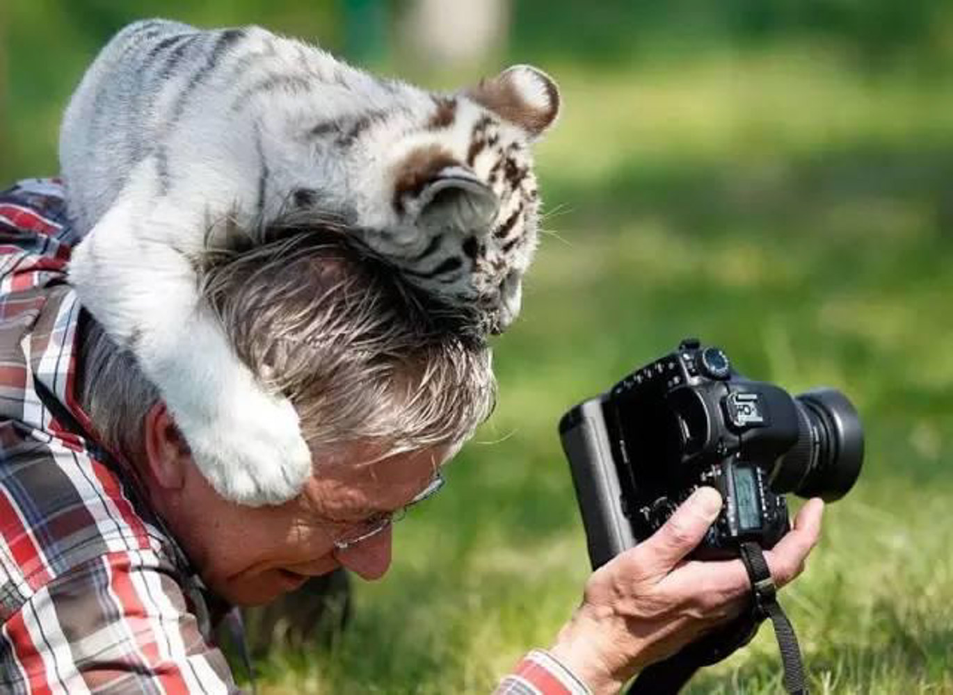 Фотографирует животных