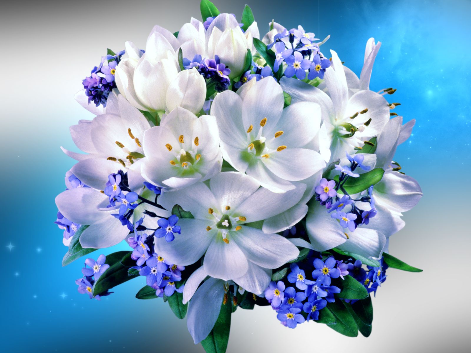 Поздравляю весенний букет цветов