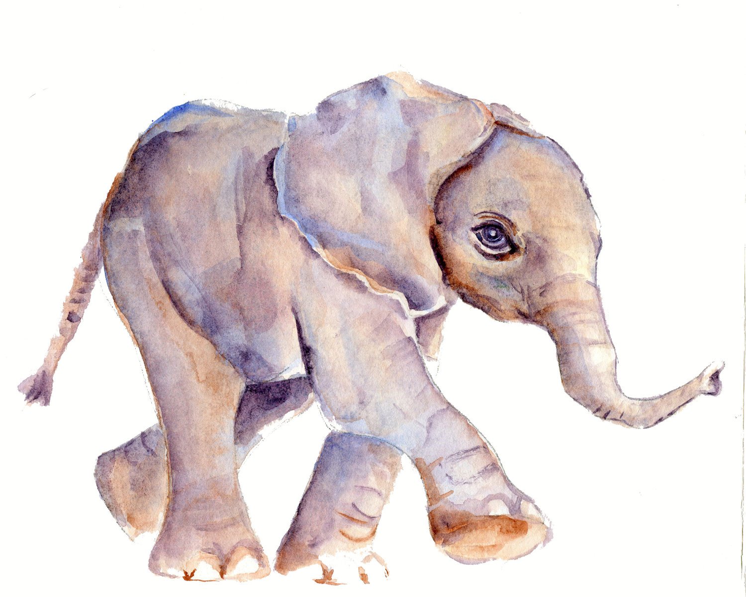 Рисуем слона акварелью