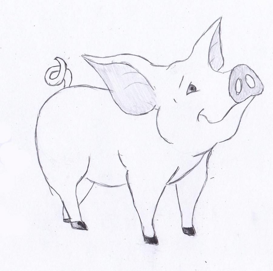 Рисунки для срисовки карандашом животные легкие