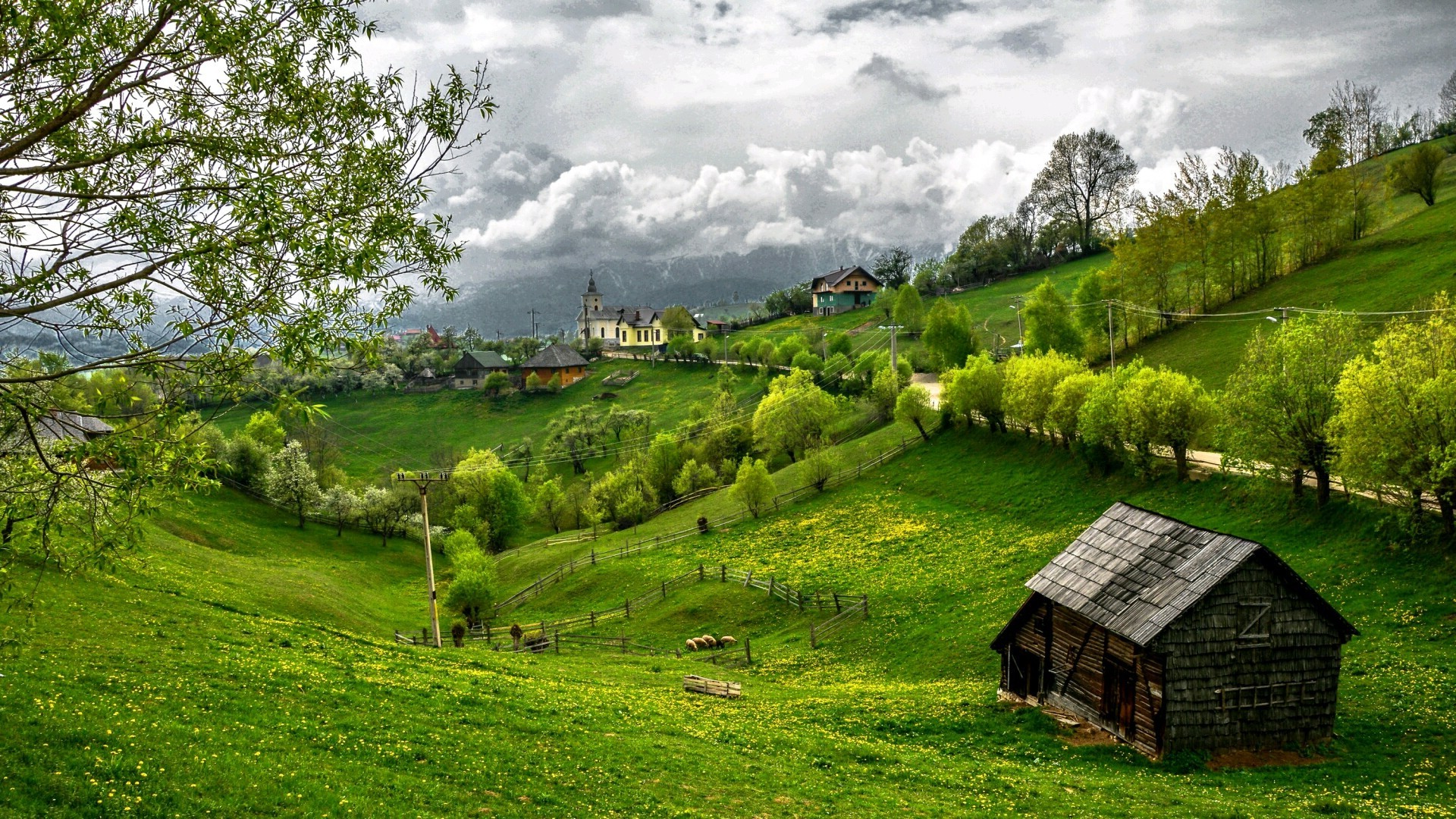 Холмы Румынии