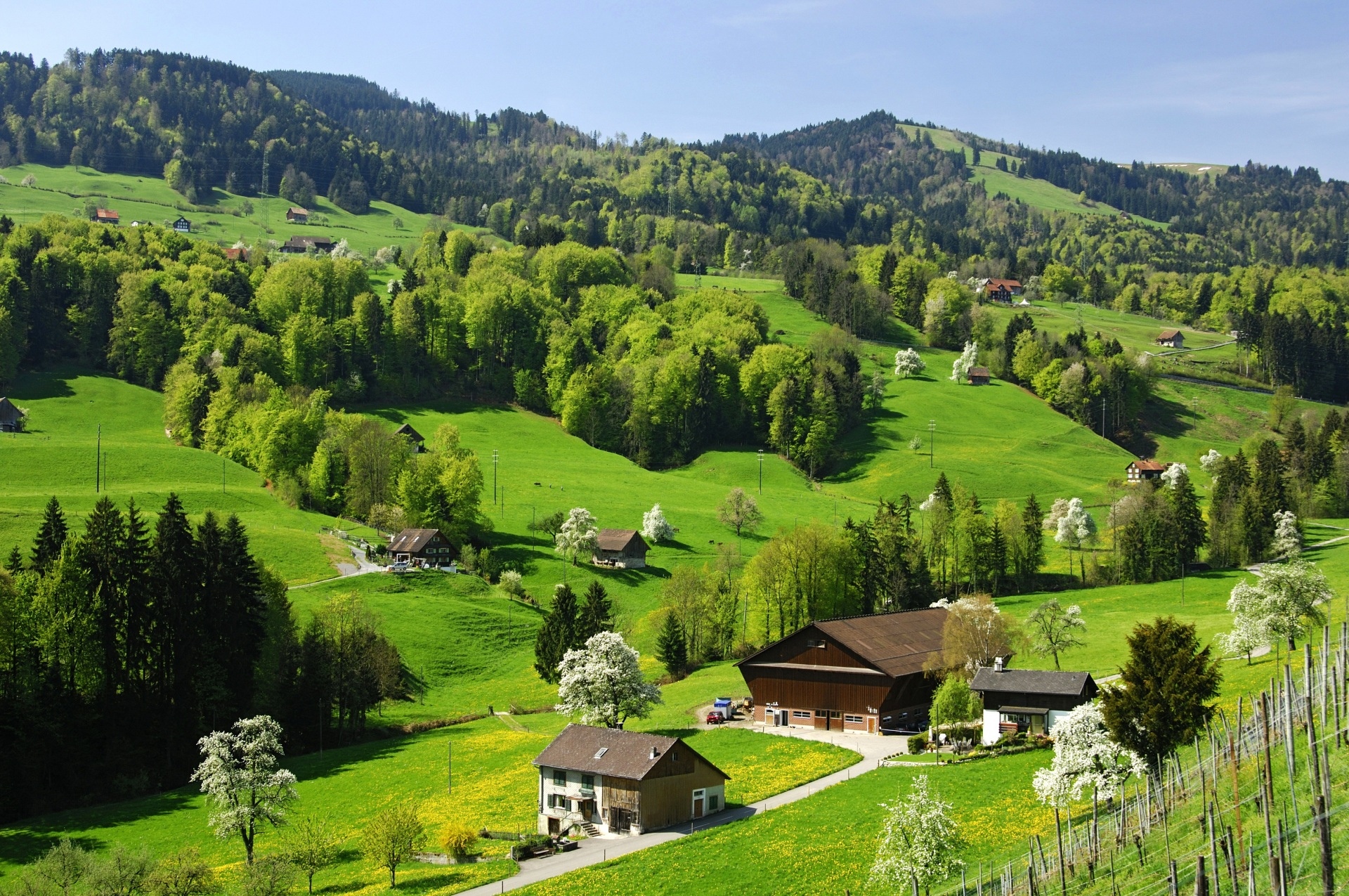 Швейцария поля горы домики