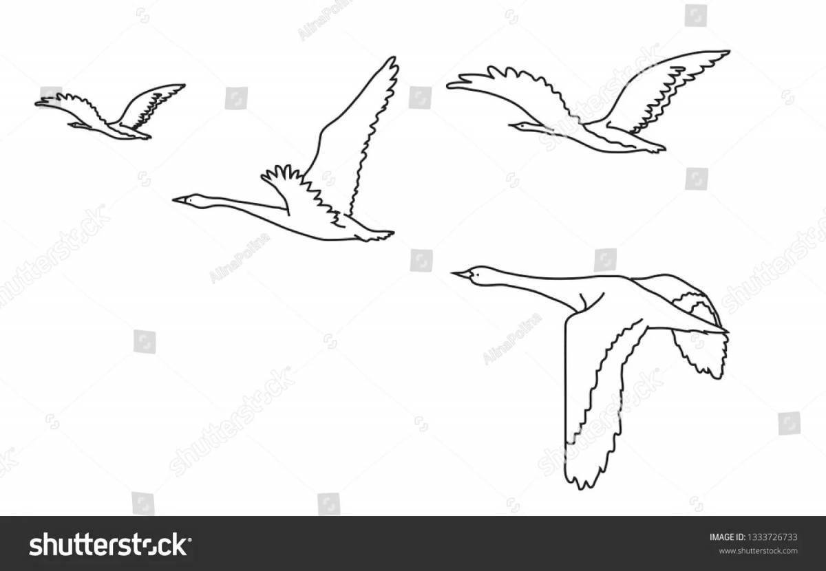 Перелетные птицы улетают раскраска