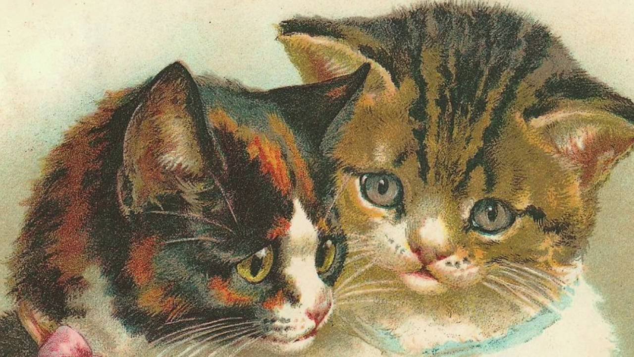 Винтажные открытки с котом