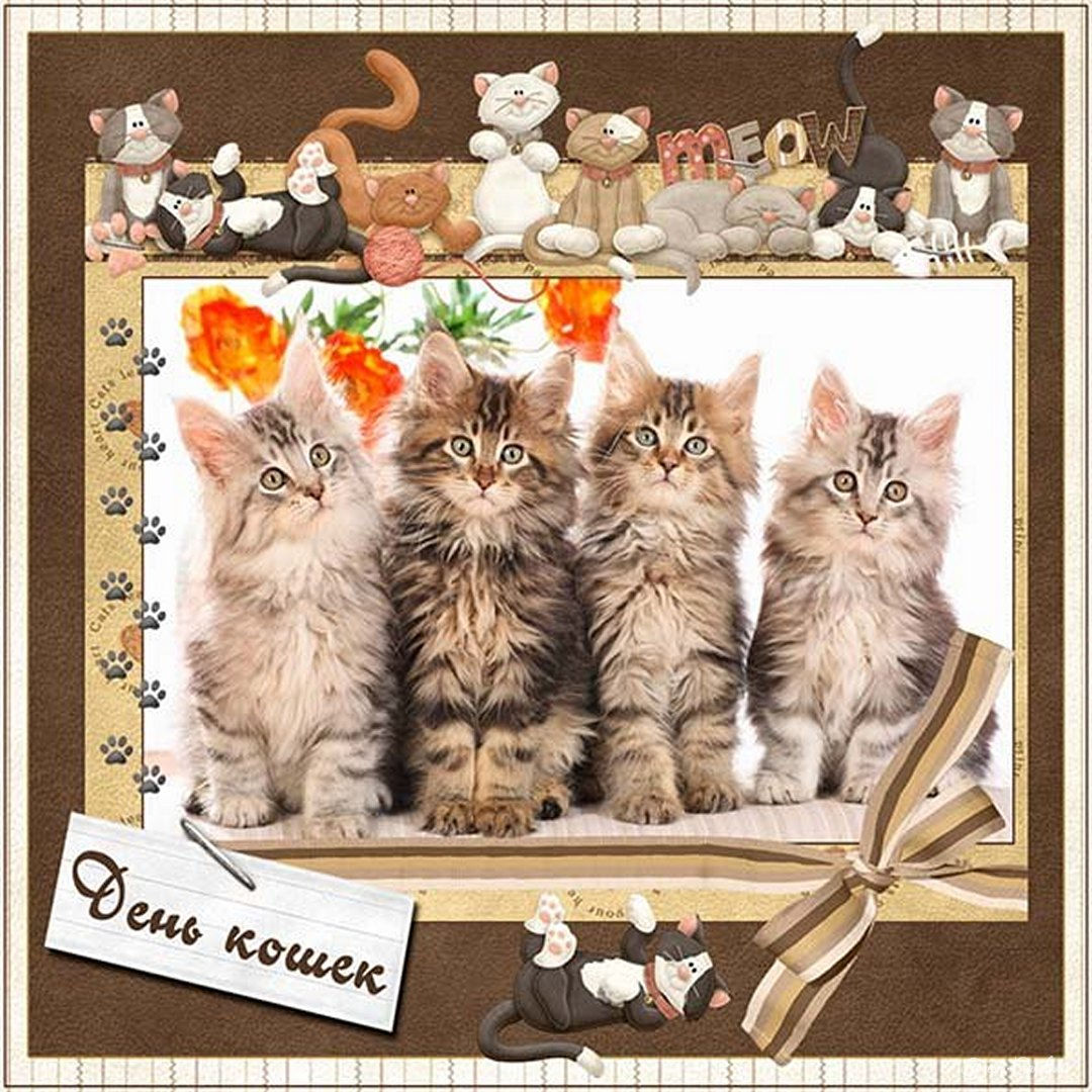 Всемирный день кошек 8 августа