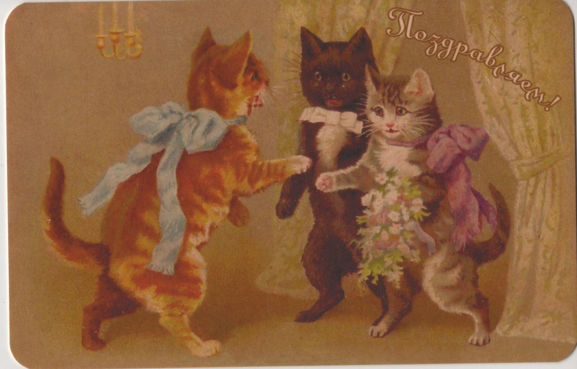 Картина кошки на празднике